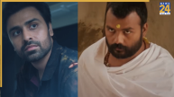 Box Office Collection