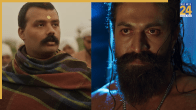 Box Office Collection