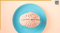Brain Memory