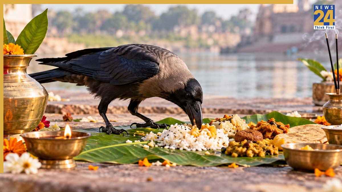 CROW.jpg