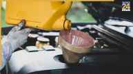 Car engine oil