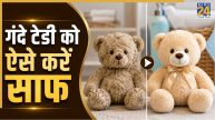 Cleaning Teddy Bear