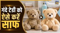 Cleaning Teddy Bear