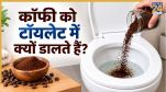 Coffee In Toilet