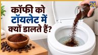 Coffee In Toilet