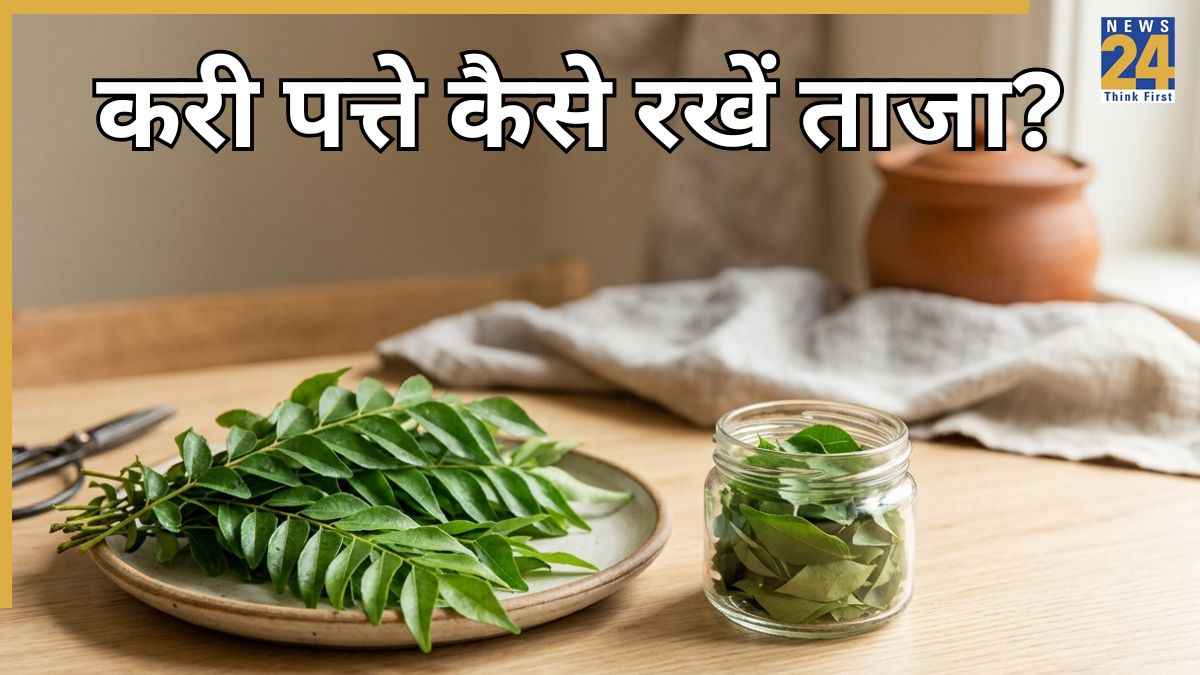 बाजार से खरीदे करी पत्ते को हफ्तों तक रखना है ताजा तो ऐसे करें स्टोर, जल्दी नहीं सूखेंगे Curry Leaves