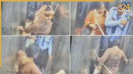 Viral Video: पालतू कुत्ते को लेकर सोसाइटी की लिफ्ट में 2 महिलाओं के बीच मारपीट, सिक्योरिटी गार्ड ने किया बीच बचाव