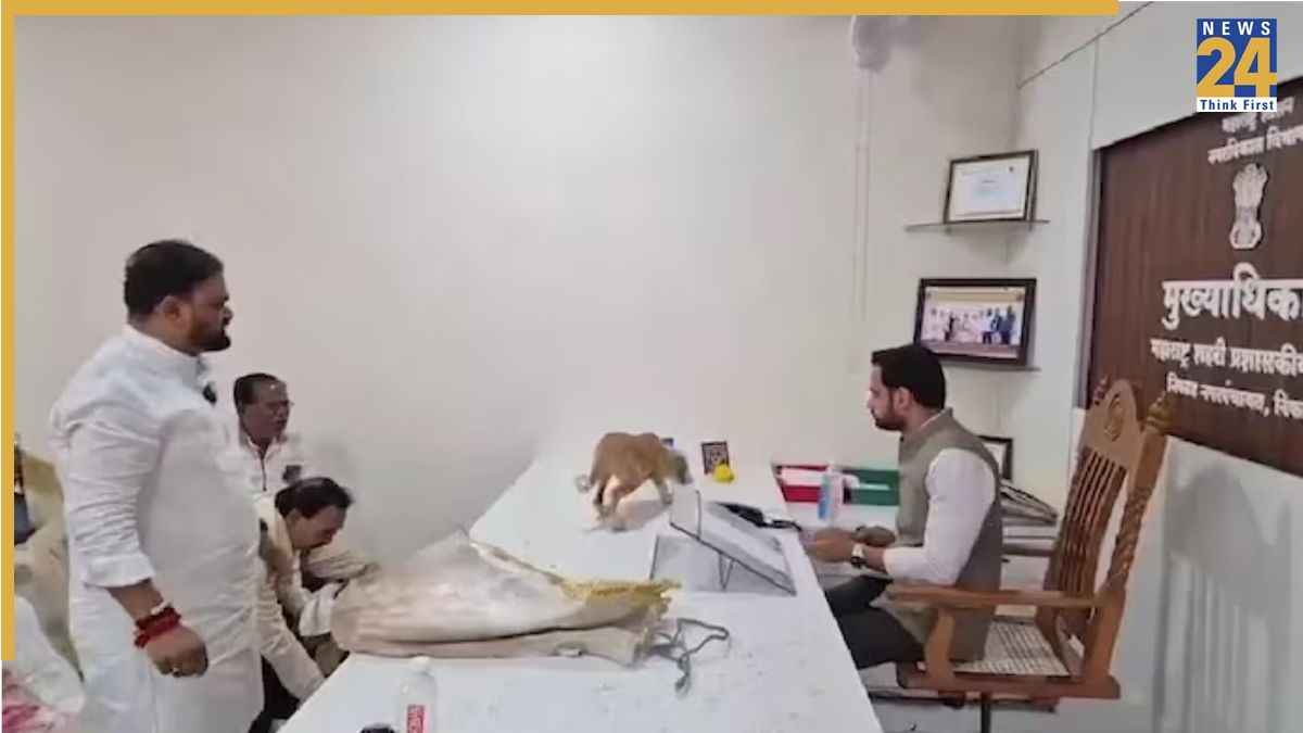 बोरों में भरकर लाए आवारा कुत्ते, अफसर की मेज पर छोड़े… नासिक में अनोखा प्रदर्शन; VIDEO वायरल