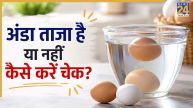 Egg Fresh Or Not