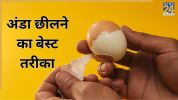 Egg Peeling Hacks