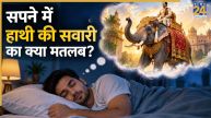 Elephant-Ride-Dream