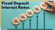 higest fd rate