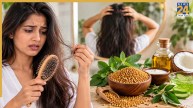 Best Natural Hair Fall Remedies
