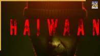 Haiwaan