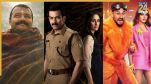 Hanuman Ansh Daayra Vibe Box Office Collection