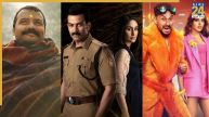 Hanuman Ansh Daayra Vibe Box Office Collection