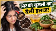 Head Lice Removal