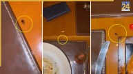 JW Marriott में डिनर कर रहे थे डॉक्टर, टेबल पर पहुंचा कॉकरोच, VIDEO शेयर कर तुकाराम मुंडे को किया टैग