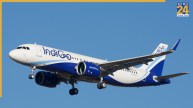 Indigo flight pilot felt unwell