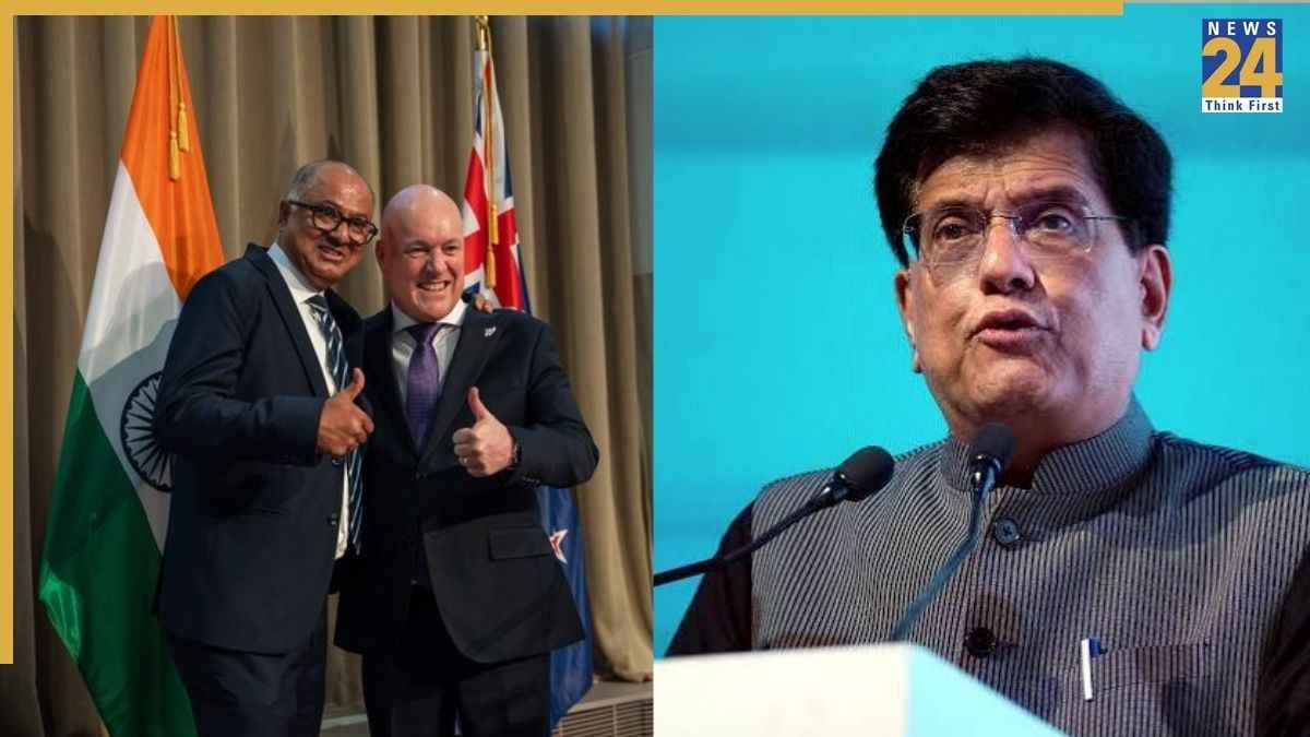 न्यूजीलैंड को कौन-कौन से सामान बेचता और खरीदता है भारत, FTA डील से भारतीय कारोबारियों को कैसे होगा फायदा?