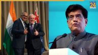 न्यूजीलैंड को कौन-कौन से सामान बेचता और खरीदता है भारत, FTA डील से भारतीय कारोबारियों को कैसे होगा फायदा?