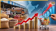 Wholesale Inflation Rate, Wholesale Inflation Rate August, WPI Data India, What is wholesale inflation, Inflation rate figures