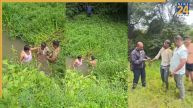 Karnataka news, Shivamogga news, Dileep Alias Kariya, Bhadravathi Police, Shivamogga Police, Karnataka police