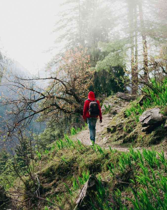 कसोल और तोश