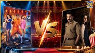 Vibe and Daayra Box Office Collection
