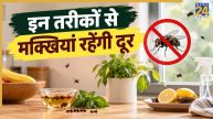 Makhi Home Remedies