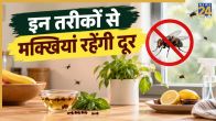 Makhi Home Remedies