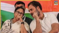 ममता बनर्जी को संकट की घड़ी में मिला राहुल गांधी का समर्थन, फोन पर क्या हुई बातचीत?