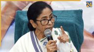Mamata banerjee, TMC, Nandigram, Nandigram bypoll, Nandigram election, Bhowanipore, Suvendu Adhikari, Left in Bengal, Bengal Bypoll, Mamata Banerjee news, TMC Election
