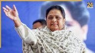 rajasthan urban local bodies, rajasthan urban local bodies portal, congress rajasthan, bjp rajasthan, bhajan lal sharma, rajasthan ulb list, rajasthan independent candidate, bharatiya janata party rajasthan, rajasthan ward election, rajasthan municipal election 2026, rajasthan state election commission