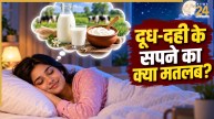 Milk-in-Dream
