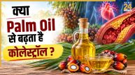 Palm Oil Side Effects