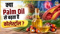 Palm Oil Side Effects
