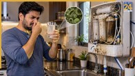 Ro Water Tastes Bitter Causes