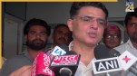 Punjab Congress, Sachin Pilot, Punjab Election, Congress collective leadership, Rahul Gandhi