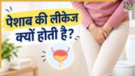 Urology Awareness Month 2026: ब्लैडर कंट्रोल करने में क्यों होती है दिक्कत? जानिए पेशाब की लीकेज के क्या कारण हैं