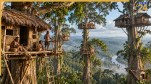 Korowai Tribe Papua Tree House