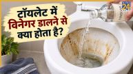 Vinegar In Toilet