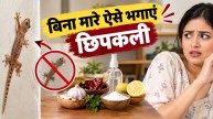 how to get rid of lizards at home