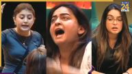 Bigg boss 20 arshifa khan