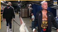 cody rhodes wwe