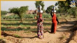 Wadia village in Gujarat, child marriage and betrothal, Wadia sex trade,