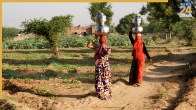 Wadia village in Gujarat, child marriage and betrothal, Wadia sex trade,