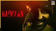Haiwaan Box Office Collection Day 2