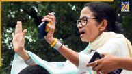 Mamata Banerjee, Trinamool Congress, Ritabrata Banerjee faction, Election Commission news, NCP split, Shiv Sena - UBT, Indira Gandhi, TMC Symbol, Mamata Banerjee EC