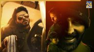 mirzapur the movie haiwaan collection